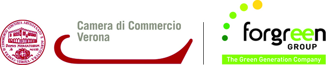 CMYK base Marchi CCIAA Vr e Forgreen Group
