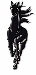 Logo_api